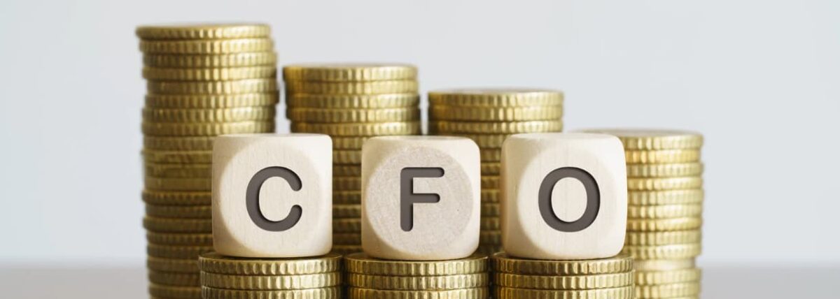Virtual CFO for Startups